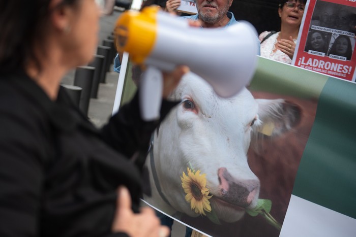 Movilización de damnificados por la estafa de Conexión Ganadera, el 15 de mayo, frente a Fiscalía, en Montevideo. · Foto: Gianni Schiaffarino