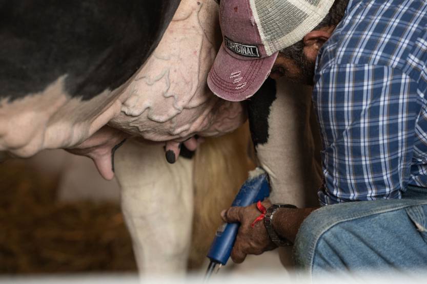 20250717 Leche