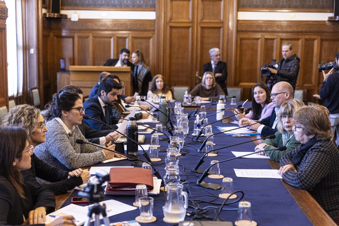 La comisión Bicameral de Salud del Parlamento recibe a autoridades de la Facultad de Psicología, el 20 de mayo. · Foto: Ernesto Ryan