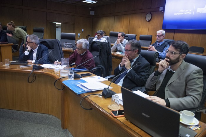 Rodrigo Arim, Leonardo Di Doménico, Juan Castillo, Martín Vallcorba y Ariel Cancio, durante la comisión especial de la Cámara de Diputados que tiene a estudio la reforma de la Caja de Jubilaciones y Pensiones de Profesionales Universitarios. · Foto: Gianni Schiaffarino