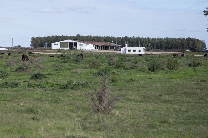 Estancia María Dolores (archivo, mayo de 2025). · Foto: Alessandro Maradei