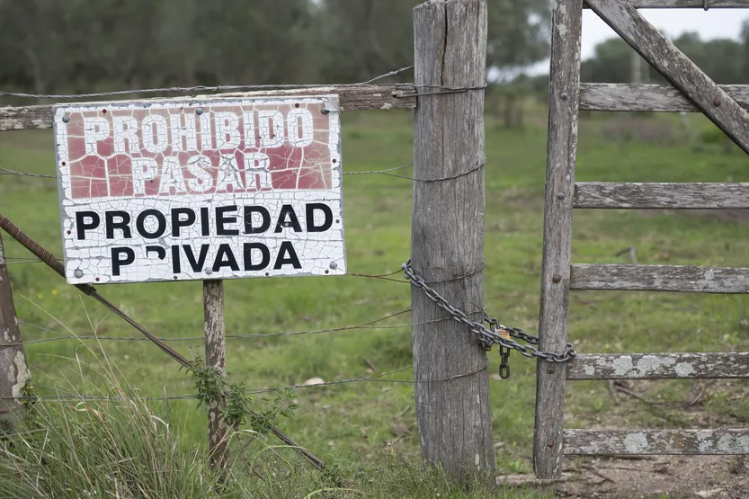 20260311 Eco Terratenientes (Gabriel Oyhantçabal)