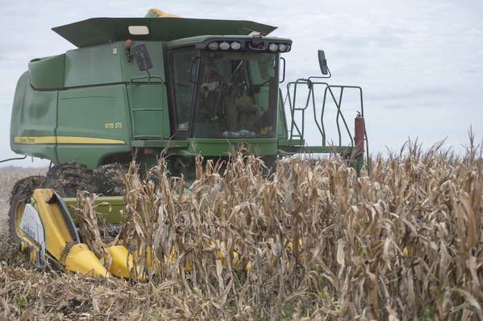 Foto: Alessandro Maradei (Archivo, Mayo 2025)