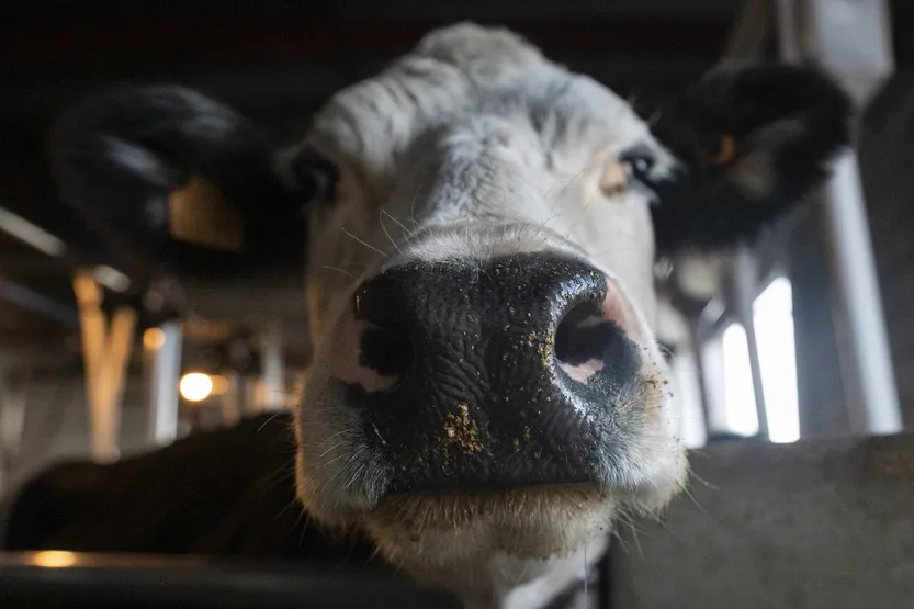 20260312 AGRO Marcelo Rodriguez F4