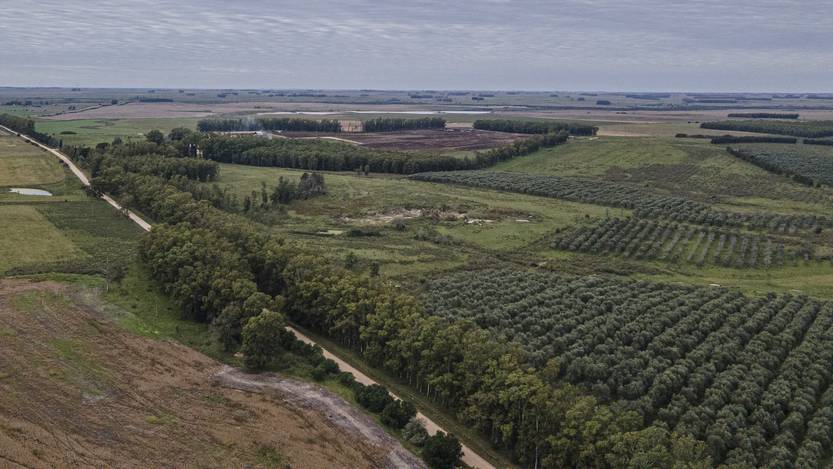 20251013 María Dolores