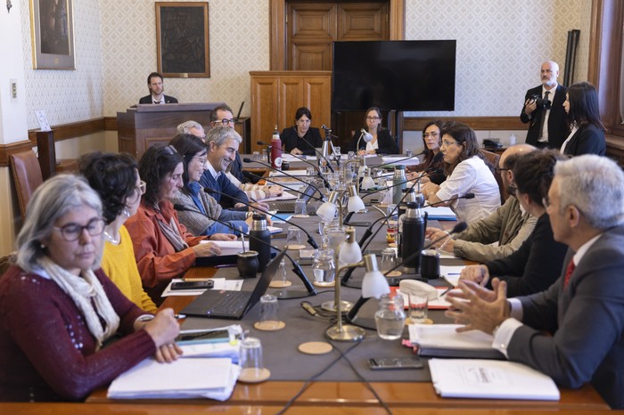 Autoridades de la educación en la Comisión de Educación y Cultura del Senado. · Foto: Ernesto Ryan