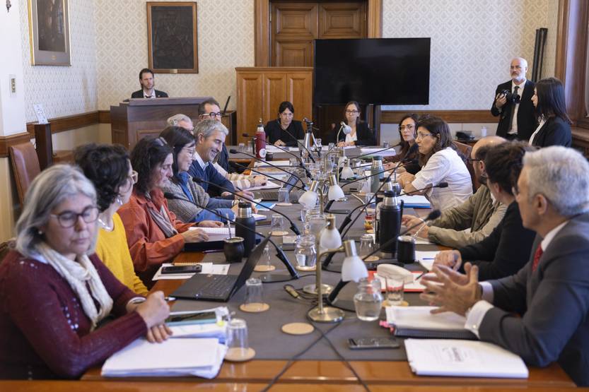 20250526  edu comisión