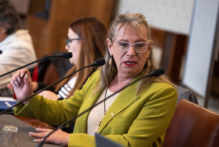 Collette Spinetti, secretaria de Derechos Humanos de Presidencia de la República. · Foto: Gianni Schiaffarino