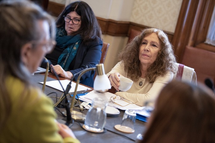 Constanza Moreira, durante la Comisión de Derechos Humanos y Equidad de Género (archivo, mayo de 2025). · Foto: Gianni Schiaffarino