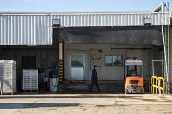 Calcar, en Tarariras, Colonia (archivo, mayo de 2025). · Foto: Ignacio Dotti