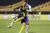 pañarol RS282013_20250529-RVA-524