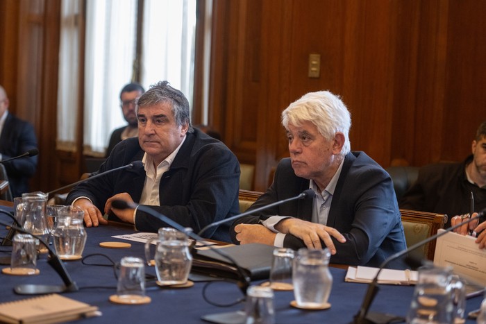 Sergio Botana y Eduardo Brenta en  Comisión por Caja de Jubilaciones de Profesionales de la cámara de senadores · Foto: Mara Quintero