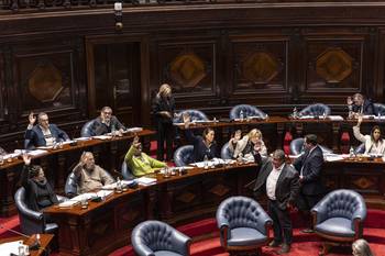 Sesión del Senado, el 11 de junio. · Foto: Ernesto Ryan