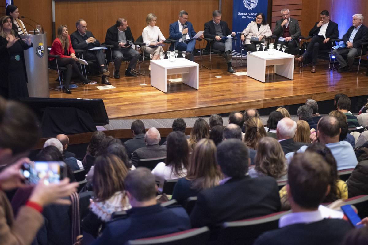 Junta Nacional de Drogas evaluará el uso de psicodélicos y disociativos como la ketamina para tratar la salud mental