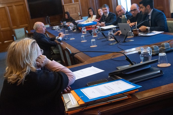Comisión de Constitución y Legislación del Senado.(archivo, julio de 2025) · Foto: Gianni Schiaffarino