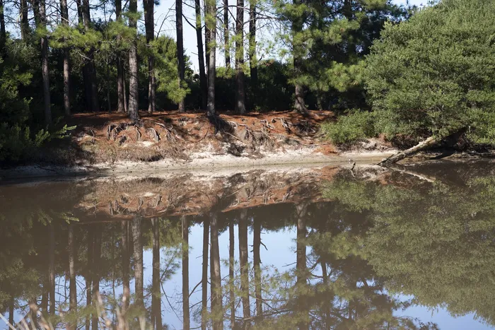Laguna Blanca (archivo). · Foto: Alessandro Maradei