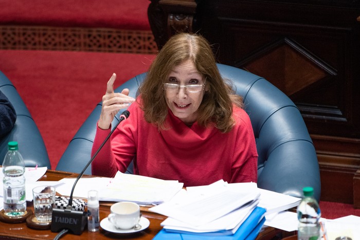 Constanaza Moreira, durante una sesión de la Cámara de Senadores (archivo, setiembre de 2025). · Foto: Gianni Schiaffarino