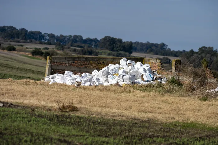 Bidones de agroquímicos usados en un campo sobre ruta 1, en Colonia (archivo, julio de 2025). · Foto: Ignacio Dotti