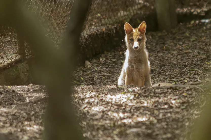 20260324 suple T P6-7f3