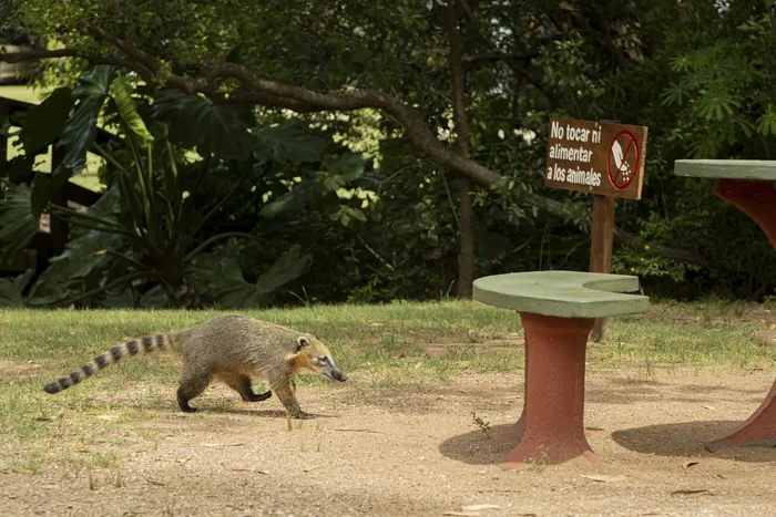 Estación de Cría y Fauna Autóctona en el Cerro de Pan de Azúcar (archivo, enero de 2025). · Foto: Pablo Serrón