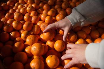 (archivo, julio 2025) · Foto: Gianni Schiaffarino