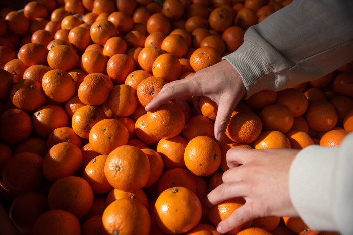 (archivo, julio 2025) · Foto: Gianni Schiaffarino