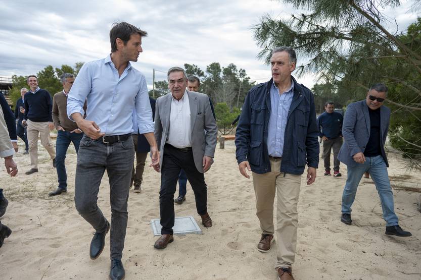 20250801 Orsi +Colonia