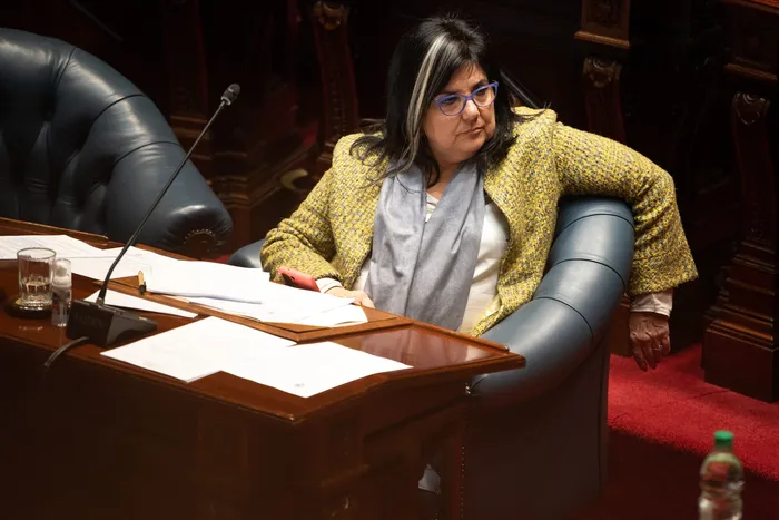María Inés Obaldía, durante una sesión de la Cámara de Senadores (archivo, agosto de 2025). · Foto: Gianni Schiaffarino