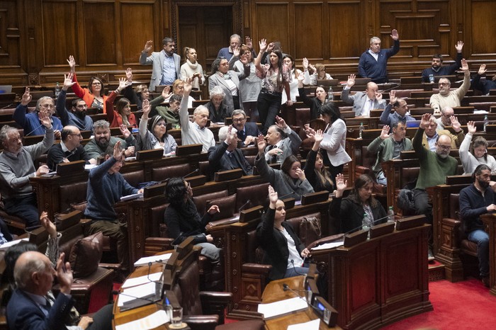 Votación en la Asamblea General. · Foto: Alessandro Maradei