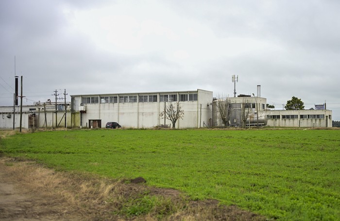 Planta industrial de Granja Pinerolo en Colonia Cosmopolita · Foto: Ignacio Dotti