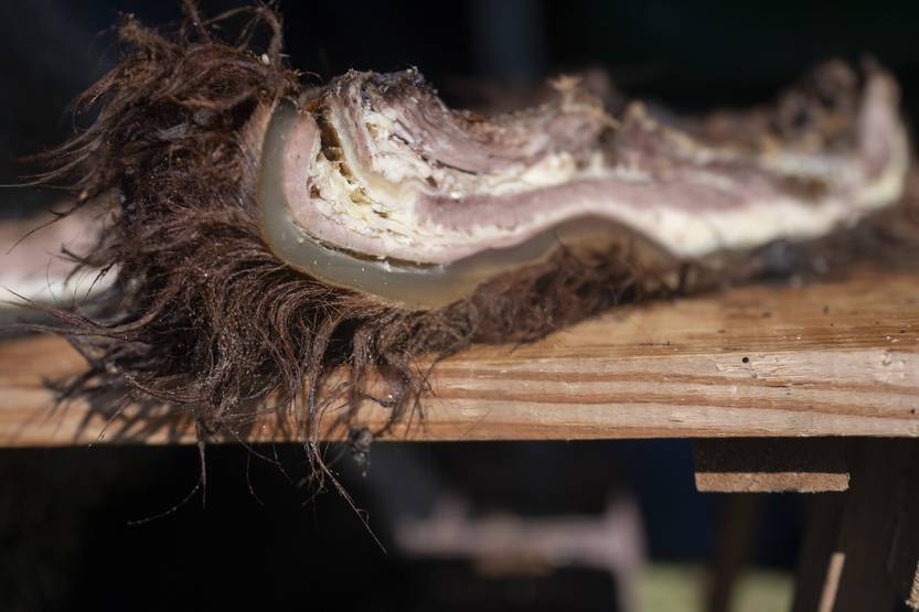 20250813 Pueblo Edén 5