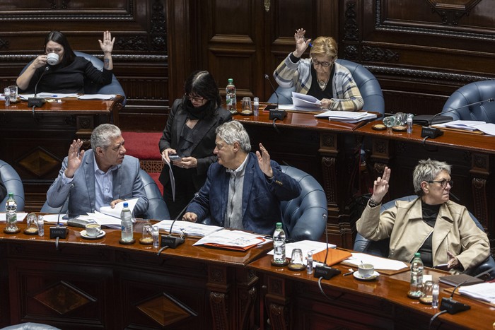 Sesion de la Cámara de Senadores, el martes 12 de agosto. · Foto: Ernesto Ryan