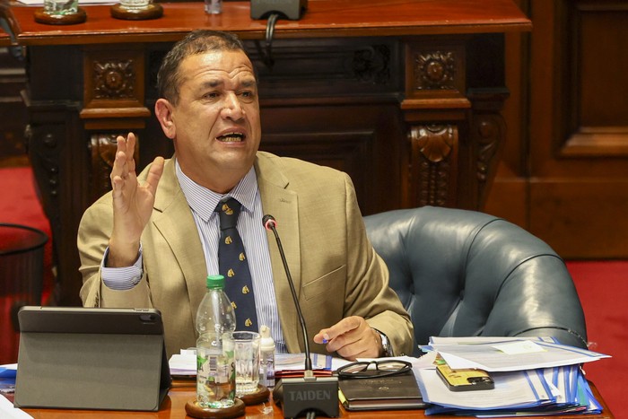 Sebastián Da Silva, el 13 de agosto, en la Cámara de Senadores. · Foto: Rodrigo Viera Amaral
