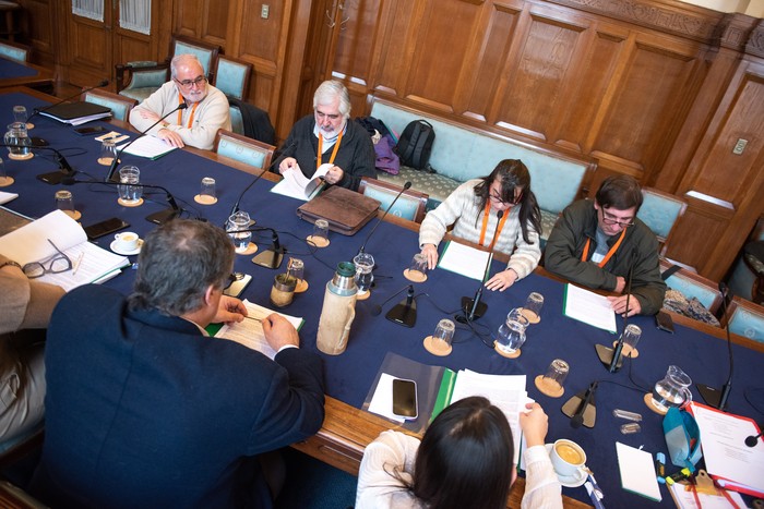 Representantes de los damnificados de Conexión Ganadera, el 14 de agosto, en la Comisión de Hacienda del Senado. · Foto: Gianni Schiaffarino