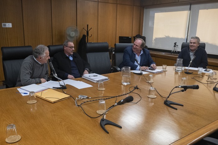 Carlos Reyes, Domingo Rielli, Gabriel Tinaglini y Juan Martín Jorge, el 15 de agosto, en la comisión preinvestigadora sobre la compra de la estancia María Dolores. · Foto: Rodrigo Viera Amaral