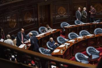 Cámara de Senadores, el 19 de agosto. · Foto: Gianni Schiaffarino