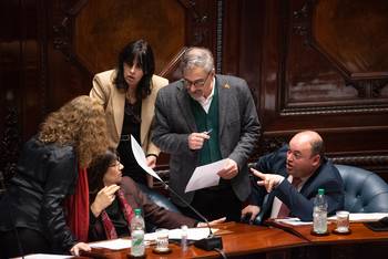 Bancada del Frente Amplio, el 19 de agosto, en el Senado. · Foto: Gianni Schiaffarino