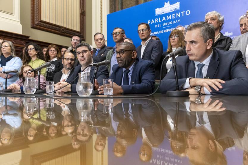 20250819 Interpelacion