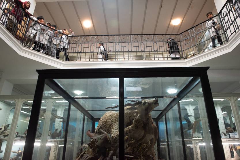 20250827 curiosa naturalia 5