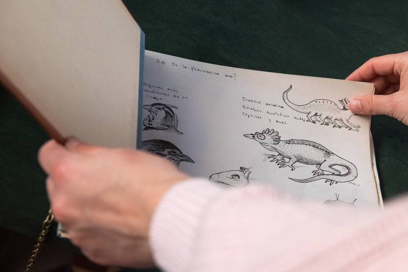 20250827 curiosa naturalia 2