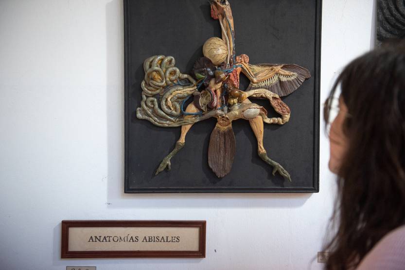 20250827 curiosa naturalia 3