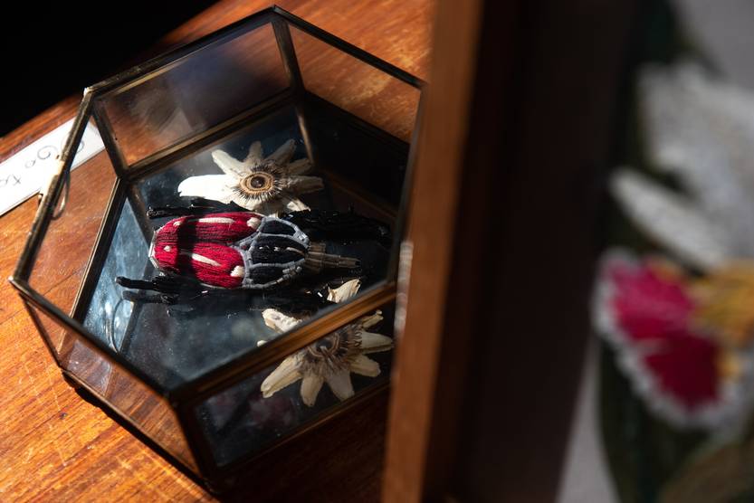 20250827 curiosa naturalia 4