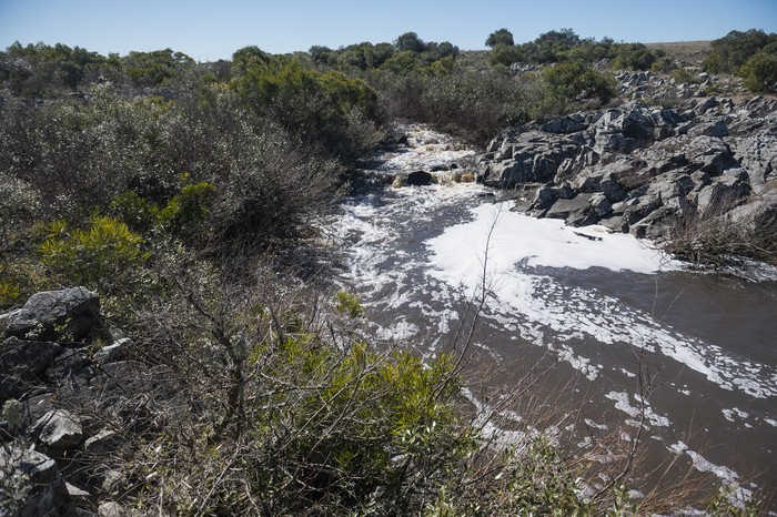 Arroyo Casupá, en el Departamento de Florida. (archivo, agosto de 2025) · Foto: Alessandro Maradei