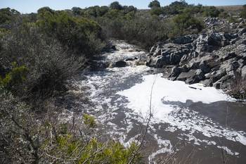 Arroyo Casupá en el departamento de Florida (archivo, agosto de 2025). · Foto: Alessandro Maradei