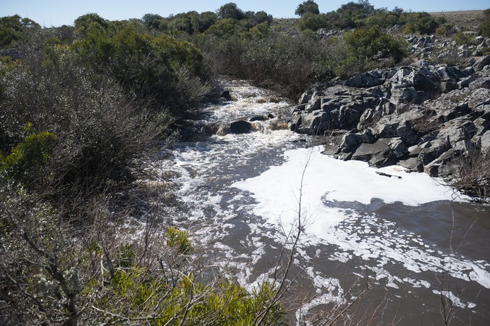 Arroyo Casupá en el Departamento de Florida (archivo, agosto 2025) · Foto: Alessandro Maradei