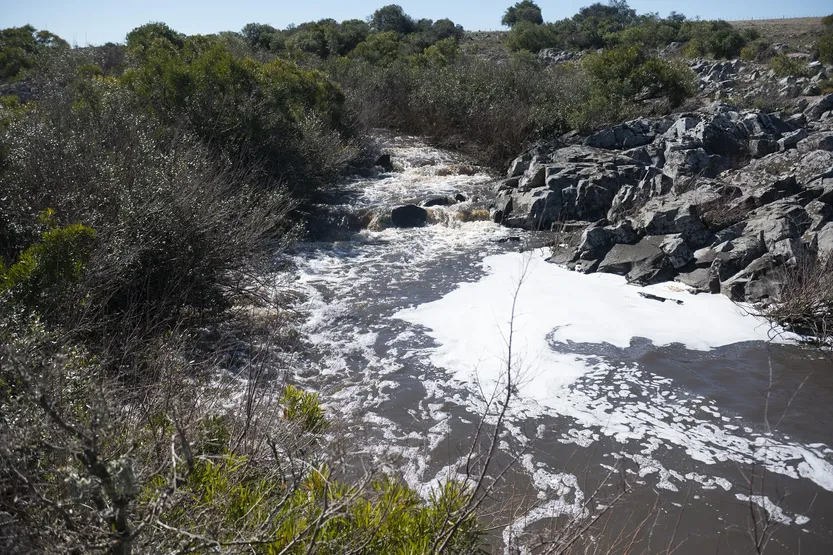 20260310 Vecinos Casupá