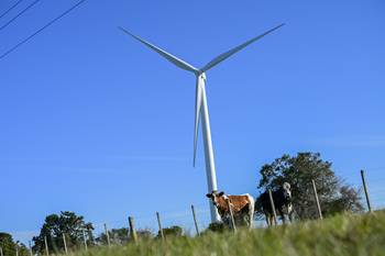 (archivo, agosto de 2025) · Foto: Ignacio Dotti