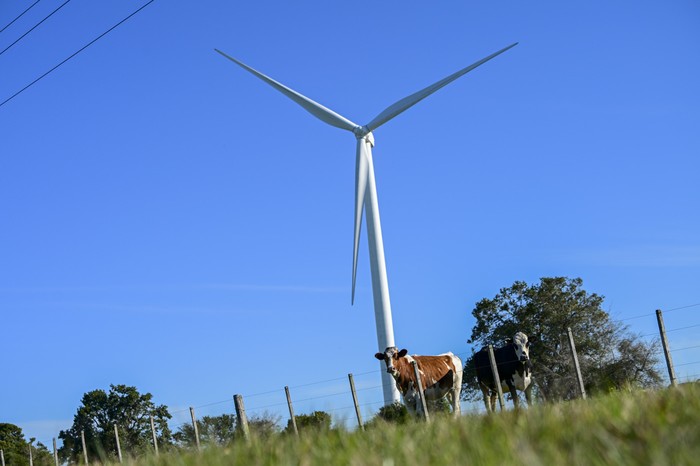 (archivo, agosto de 2025) · Foto: Ignacio Dotti