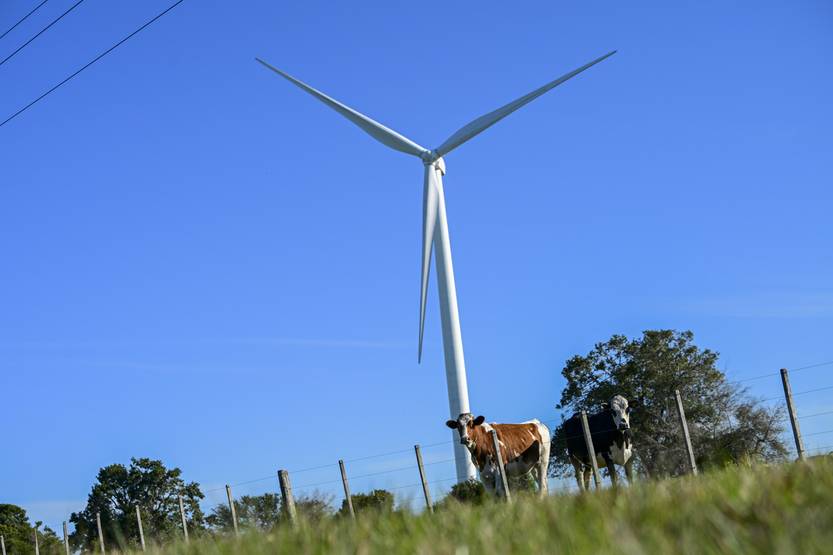 20260112 energía renovable