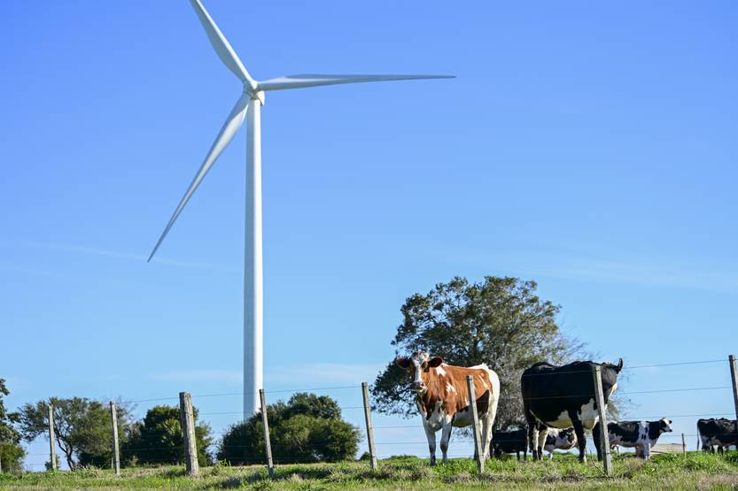 20250901 Presupuesto Agro